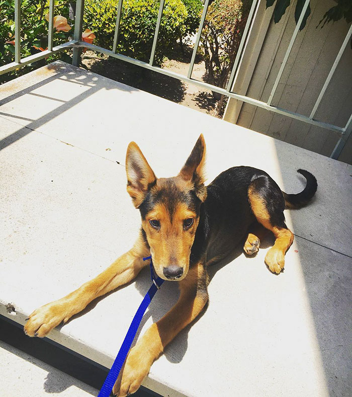 Ready For Sunday Funday