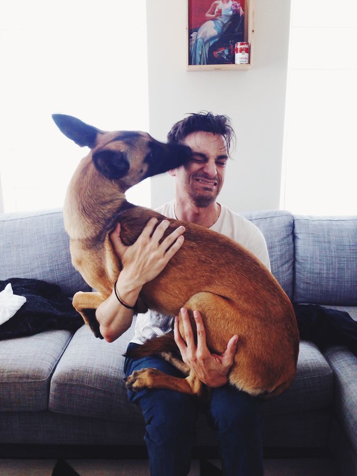 Still Not Sure If We Adopted A Deer Or A Dog