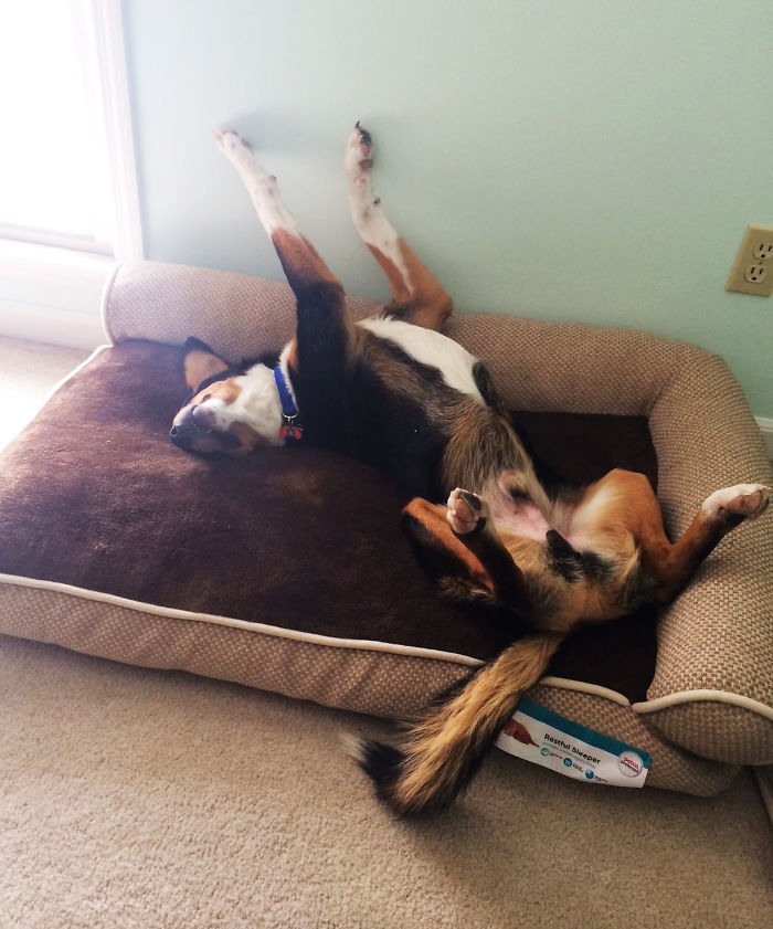 Finally A Place To Call Home