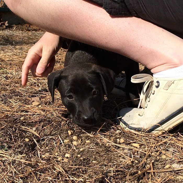 When I Was No Bigger That Daddy's Shoe. Thank You For Rescuing Me That Day