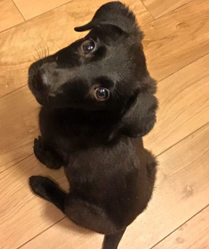 Lady Is Loving Life In DC