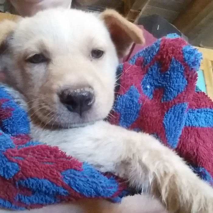 She Just Had A Bath In This Pic