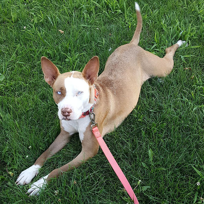 I Love This Girl So Much Already