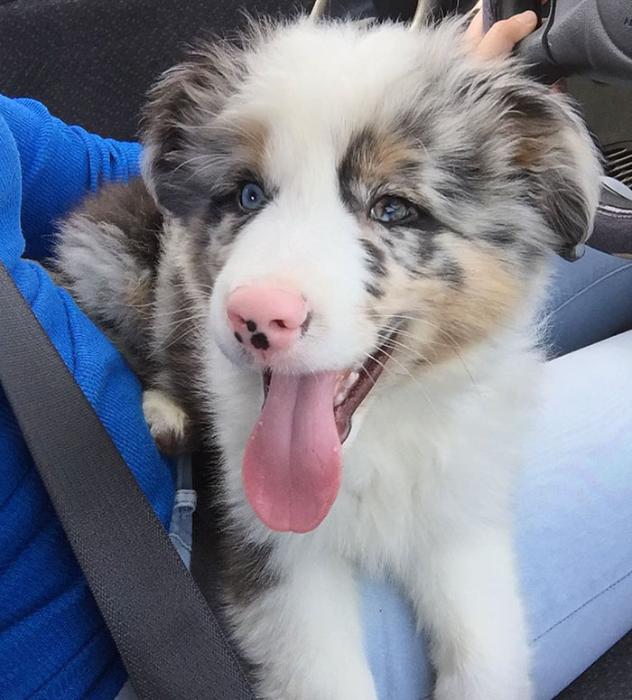 The Day Mommy Took Me Home