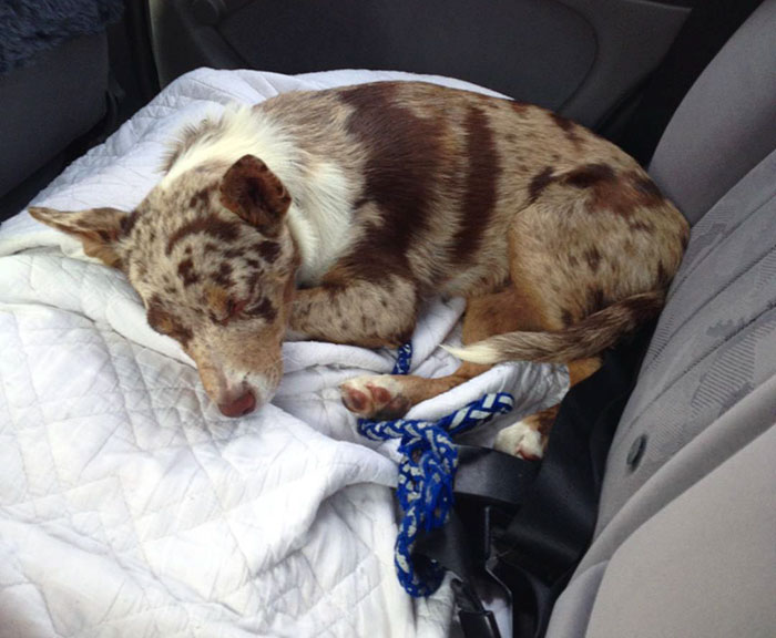 Throwback To Rikku's Adoption Day, Over 2 Years Ago