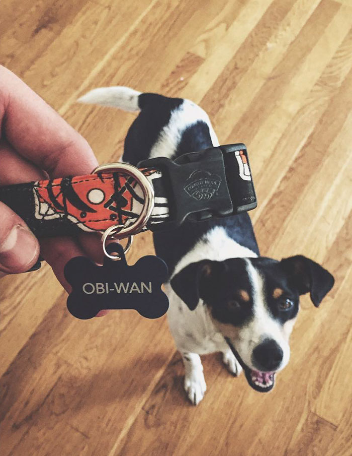 Furever My Home, Furever A Bengal