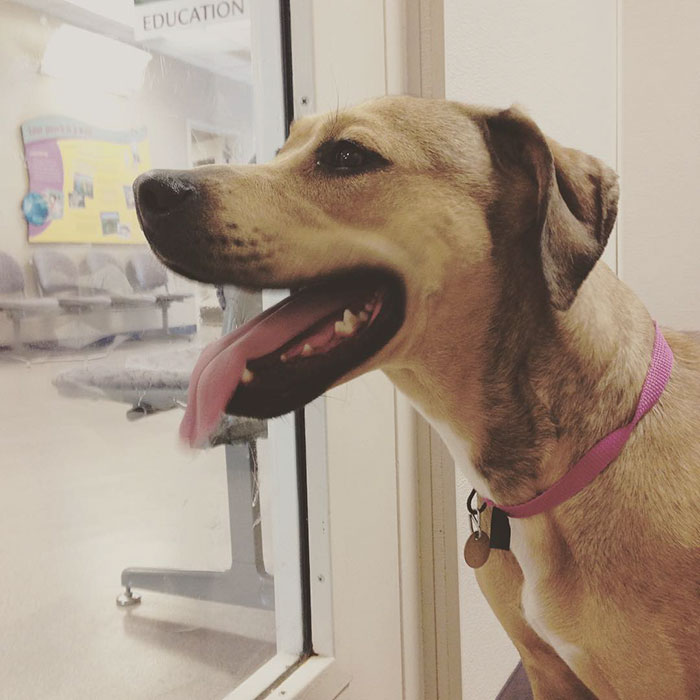 This Was The Day I Met My Parents