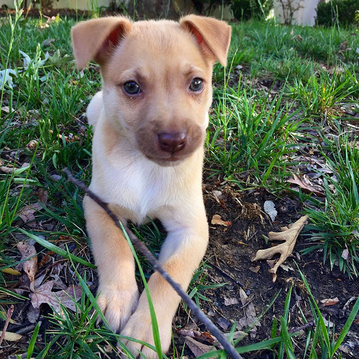 Throwback To My First Few Days With My New Family