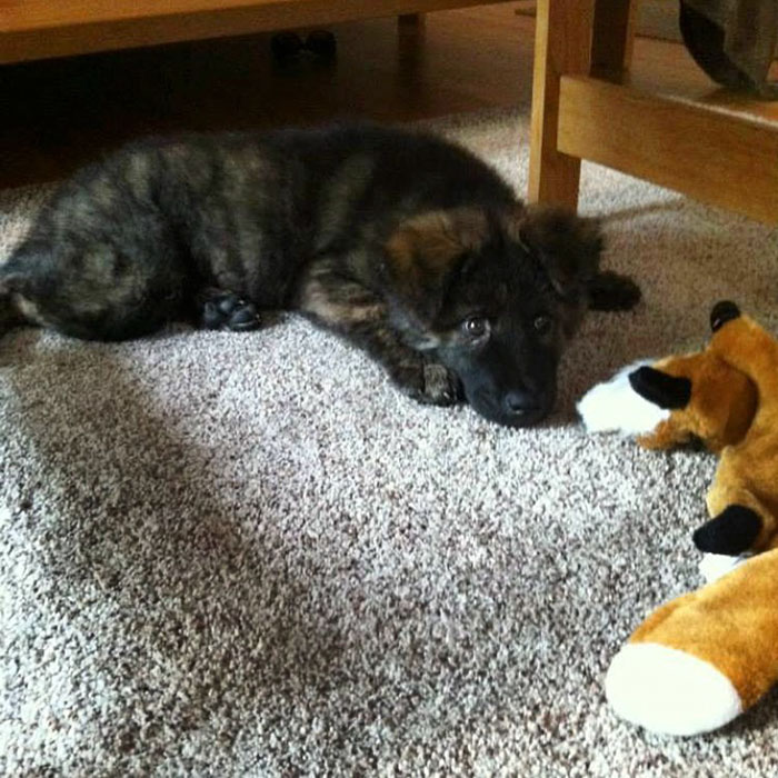 My First Day With My New Parents