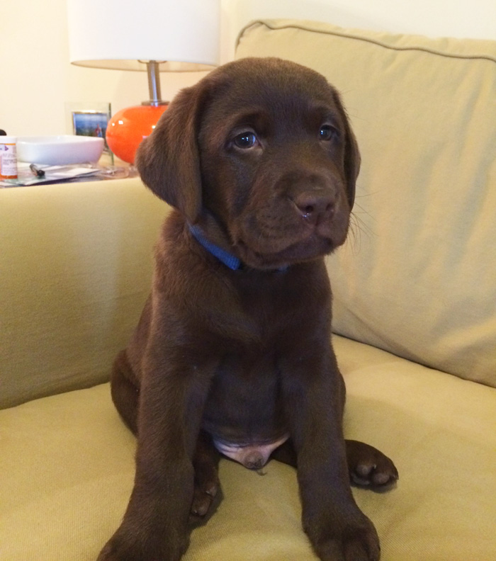 First Day Home And I'm In Love