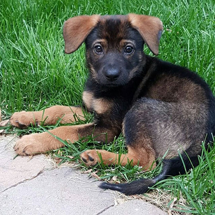 Today Marks One Whole Year With This Monster