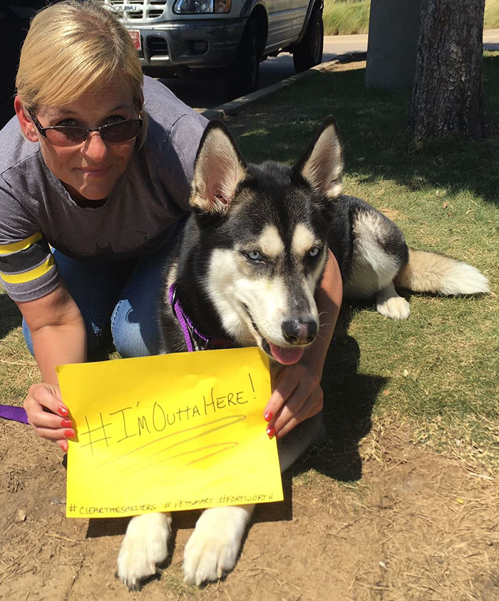 animals-adopted-45000-clear-the-shelters-17