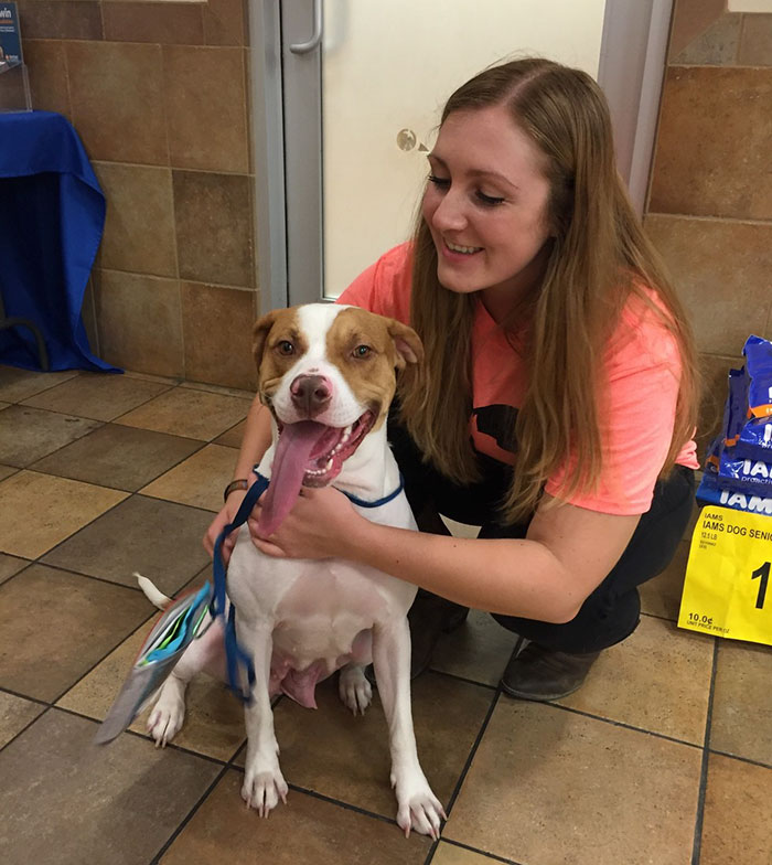 animals-adopted-45000-clear-the-shelters-2