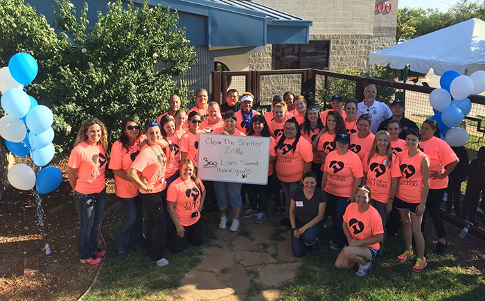 animals-adopted-45000-clear-the-shelters-21