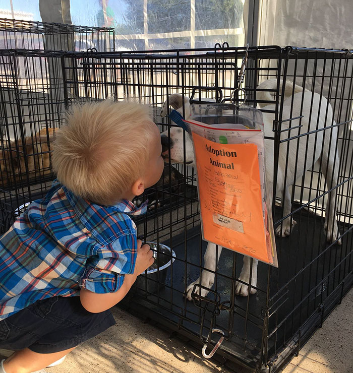 animals-adopted-45000-clear-the-shelters-24 animals-adopted-45000-clear-the-shelters-24