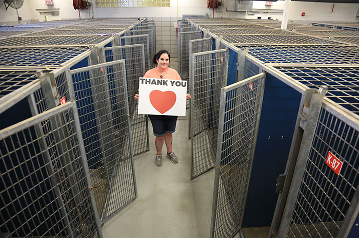 animals-adopted-45000-clear-the-shelters-31