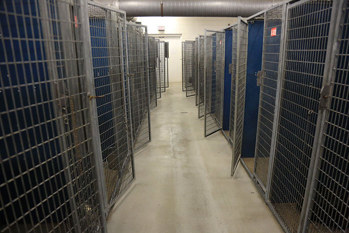 animals-adopted-45000-clear-the-shelters-6 animals-adopted-45000-clear-the-shelters-6