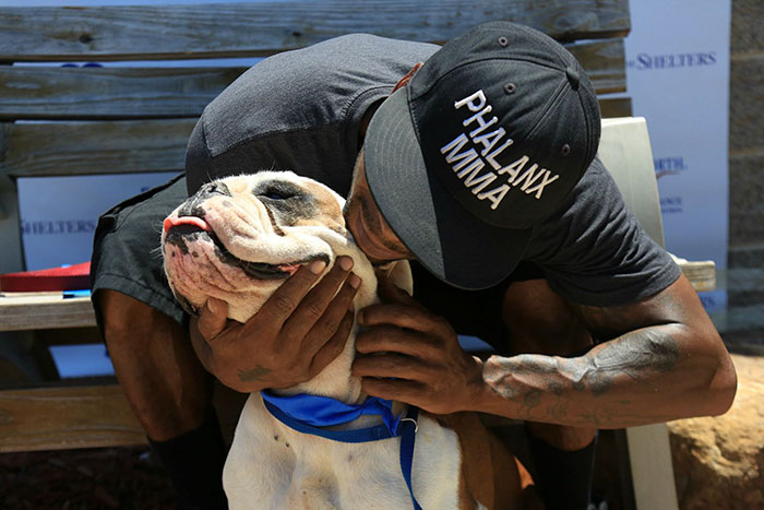 animals-adopted-45000-clear-the-shelters-8 animals-adopted-45000-clear-the-shelters-8