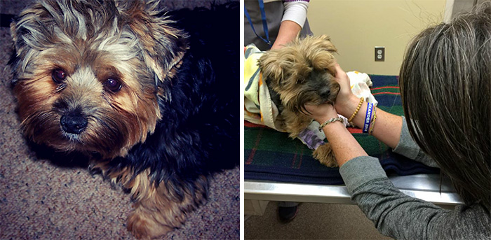 The First Day And The Last Day