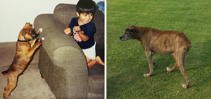 My Dog On One Of His First Days And On His Last