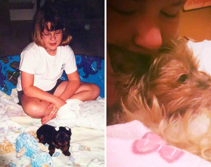 My Dog Passed Away After 13 Years Together. Our First Day And Last Day Together