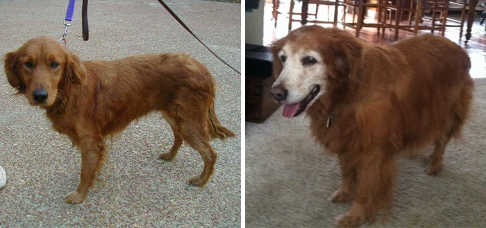 The First And Last Pics Of My Dog Addie