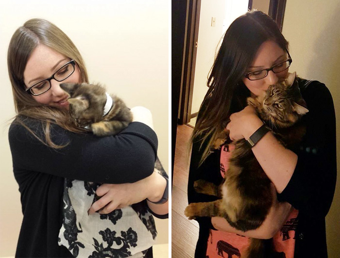 My Kitten, Mia, Unexpectedly Passed Away. Here Is Our First Meeting, And Last Photo Together