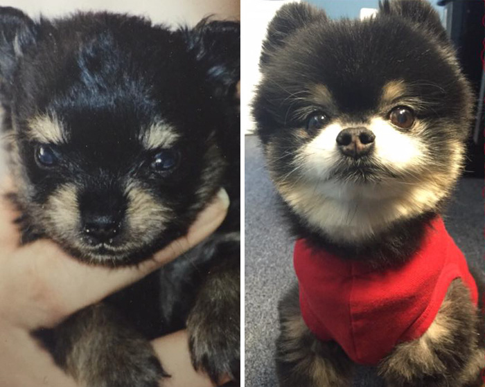 First And Probably The Last Picture Of Elvis