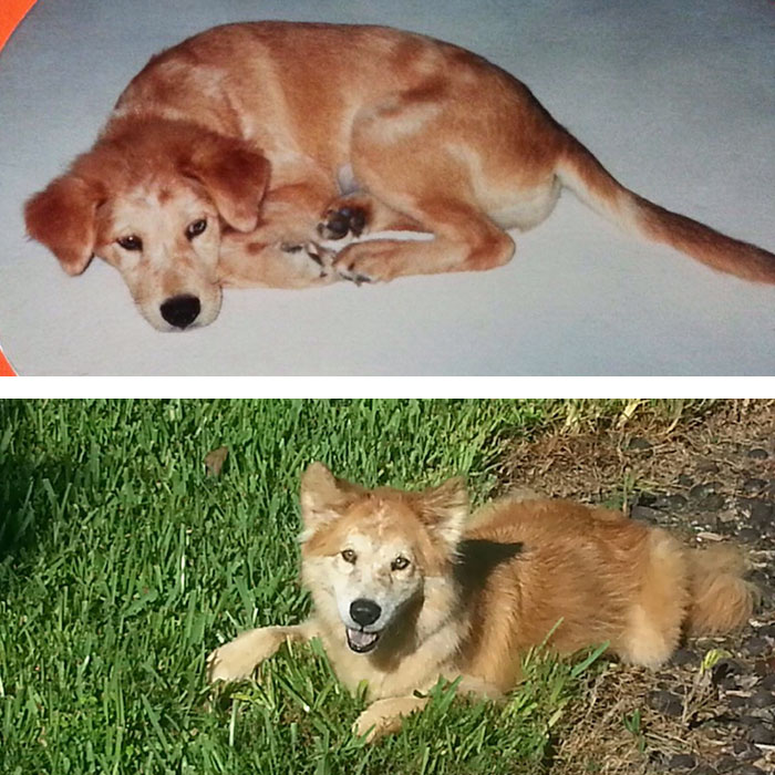 Our First And Last Days With Our Beautiful Lucie