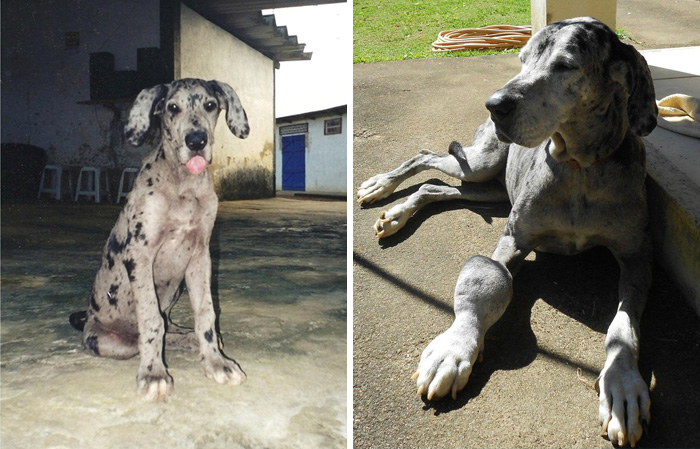 My Best Friend Is Now Gone After 10 Years Of Friendship. This Is Her First And Last Picture