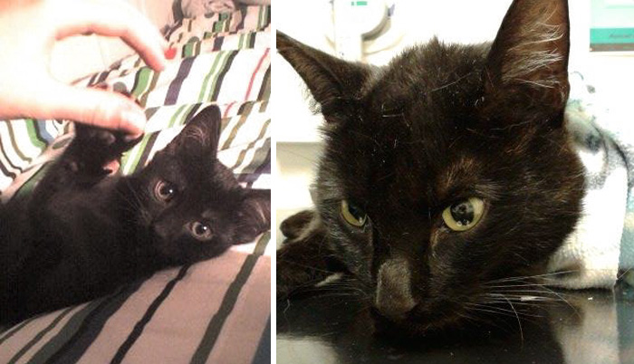 This Is The First And Last Picture I Ever Took Of Him