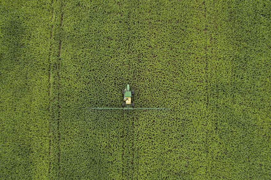 Abreulandia, Tocantins