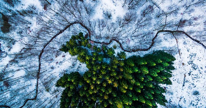23 Of The Best Drone Photos Of 2016
