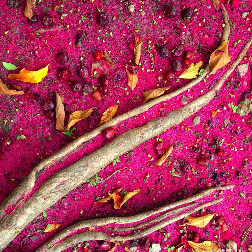 Victor Kintanar From Cebu City, Philippines, 1st Place, Trees