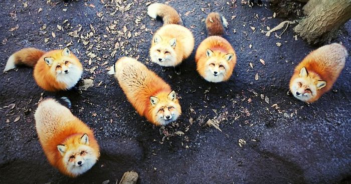 2016 iPhone Photography Award Winners Prove Again Amazing Photos Can Be Taken Without Expensive Camera