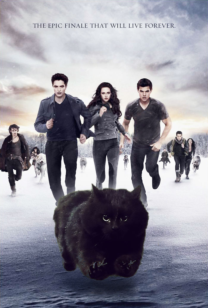 Epic Cat, Vampires & Werewolves