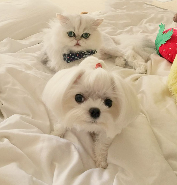 Brother From Another Mother