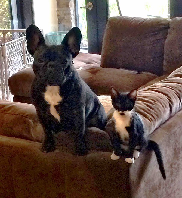 Brother From Another Mother