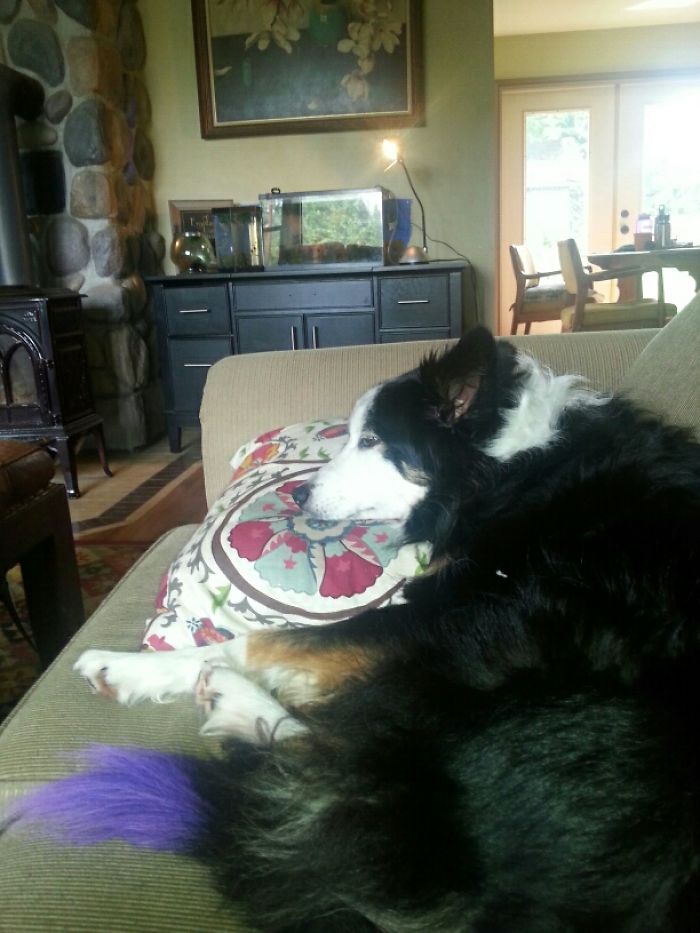 Last Picture With My Old Girl