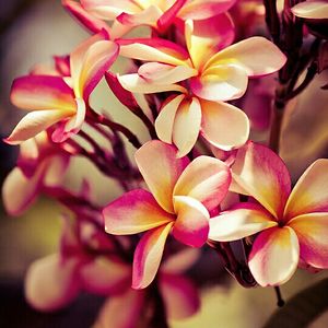 the1andonly_92 avatar