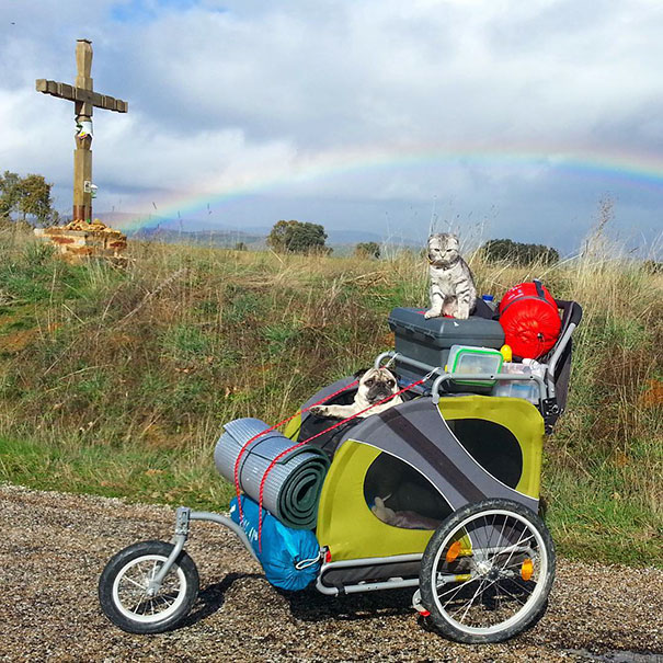 Cat That Walked Across Spain Together