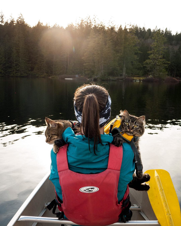 The Evening Light Was Perfect. And How Can You Not Love The Look On Bolt's Face?