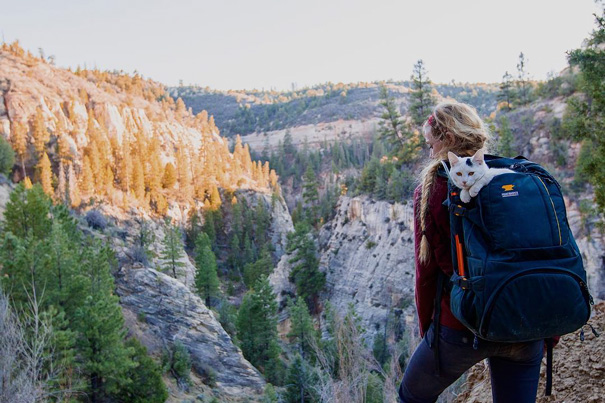 Yeah, She Carries Me. I Basically Own Her. My Human Peasant