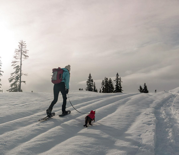 My Cat Keel: "I Get By With A Little Help From My Furrends"