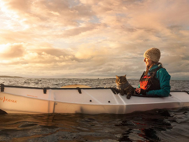 Cotton Candy Sky's This Morning On The Water