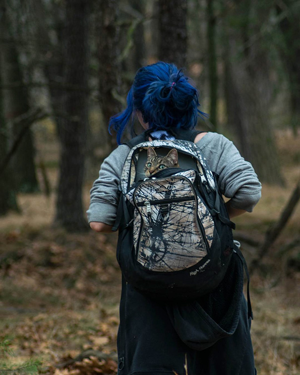 Let The Wild Rumpus Start