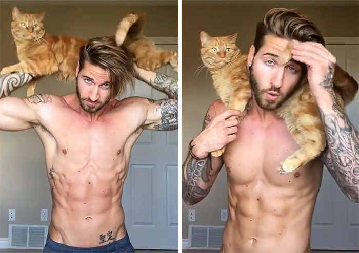 How To Get Purrfect Body Using Your Cat