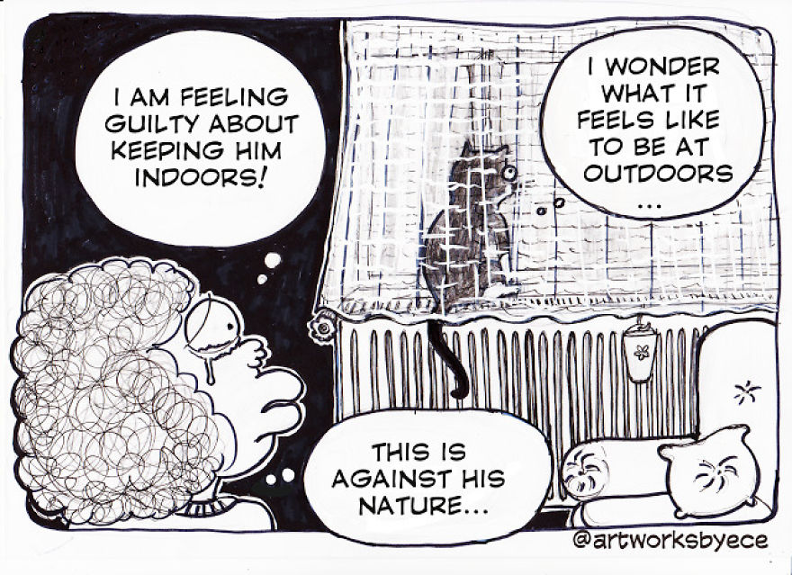 Why I Felt Guilty After I Adopted Cosmos (my Cat)