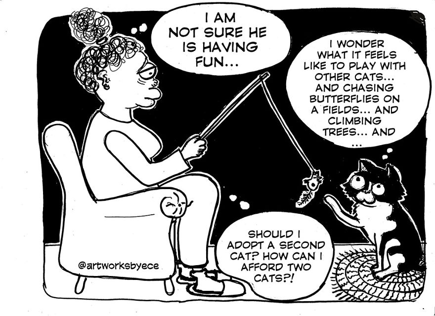 Why I Felt Guilty After I Adopted Cosmos (my Cat) Why I Felt Guilty After I Adopted Cosmos (my Cat)