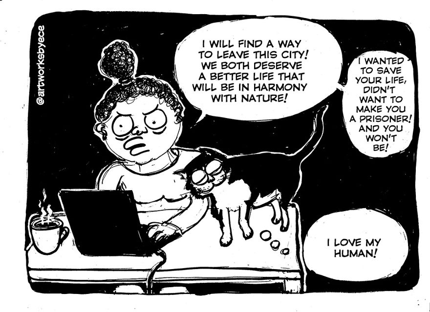 Why I Felt Guilty After I Adopted Cosmos (my Cat)